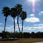 SPIE Medical Imaging 2009