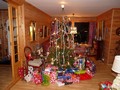 Decorated Christmas tree