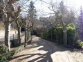 A private driveway with some nice trees