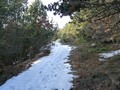 Some snow on the road, nothing that keeps us from walking further