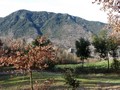 Montseny mountains