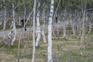 p1000849