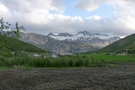 p1000994