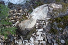 p1000346.jpg