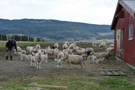 p1000540.jpg