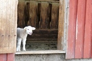 p1000557.jpg