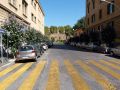 Flowery trees in a street of Rome