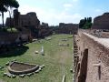 Palatino hill