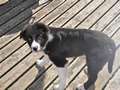 Texel almost 4 months