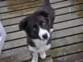 Texel 4 months