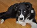 Texel almost 5 months
