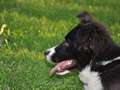 Texel almost 5 months