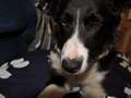 Texel 5 months