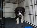 Texel 3 months