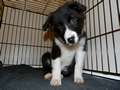 Texel 3 months