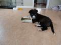 Texel 3,5 months