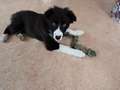 Texel 3,5 months