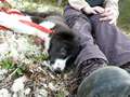 Texel 3,5 months