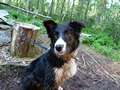 Texel 5 months