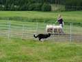 Texel 5,5 months