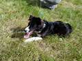 Texel 5,5 months