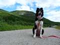 Texel 5,5 months