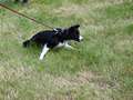 Texel 5,5 months